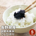 令和3年産発売開始！長野県佐久市（旧浅科村）産特A認定　五郎兵衛米こしひかり5kg【送料無料】※北海道、沖縄及び離島は別途発送料金が発生します