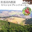 佐那河内農園 スペシャルブレンドコーヒー 300g ト送料税込 ※沖縄離島は別途送料必要