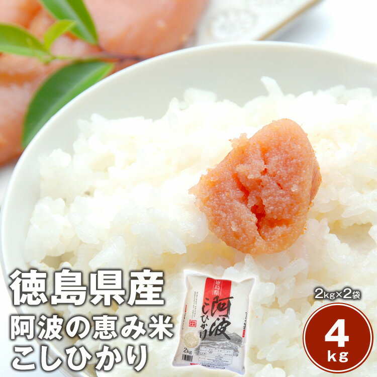 令和6年産 徳島県産阿波の恵み米こしひかり 4kg（2kg×2袋）【送料無料】※北海道、沖縄及び離島は別途発送料金が発生します