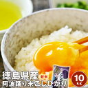 令和7年産 徳島県産コシヒカリ【送料無料】 阿波踊り米 10kg(5kg×2袋)白米/ ※北海道、沖縄及び離島は別途発送金が発生します