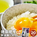 令和7年産 徳島県産コシヒカリ阿波踊り米 20kg(5kg×4袋)白米 ※北海道、沖縄及び離島は別途発送金が発生します