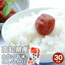 新米　令和元年産 高知コシヒカリ【送料無料】【精米（白米）】(10kg×3袋 5kg×6袋)南国の太陽と土佐の清流が育てたこしひかりです。※北海道、沖縄及び離島は別途発送料金が発生します