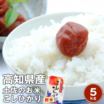 【送料無料】令和元年産　新米　高知コシヒカリ 5kg南国の太陽と土佐の清流が育てたこしひかりです。※北海道、沖縄及び離島は別途発送料金が発生します