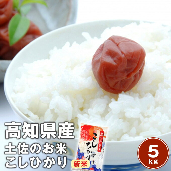 【送料無料】令和2年度産　高知県産コシヒカリ 5kg南国の太陽と土佐の清流が育てたこ...