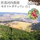 佐那河内農園 モカ イルガチェフェ G-1 300g 送料税込 ※北海道・沖縄離島は別途送料必要