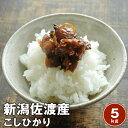 【送料無料】新潟佐渡コシヒカリ 【令和2年産 】5kgこしひかり三大名産地 佐渡こしひかり※北海道、沖縄及び離島は別途発送料金が発生します