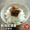 新潟佐渡コシヒカリ 令和6年産 【送料無料】10kg【5kg×2袋】こしひかり三大名産地 佐渡こしひかり※北海道、沖縄及び離島は別途発送料金が発生します
