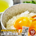 令和6年産 山形庄内産齋藤農場新米つや姫 10kg(5kg×2袋)【送料無料】※北海道・沖縄及び離島は別途発送料金が発生します
