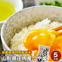 令和5年新米　山形庄内産齋藤農場つや姫5キロg【送料無料】※沖縄及び離島は別途発送料金が発生します