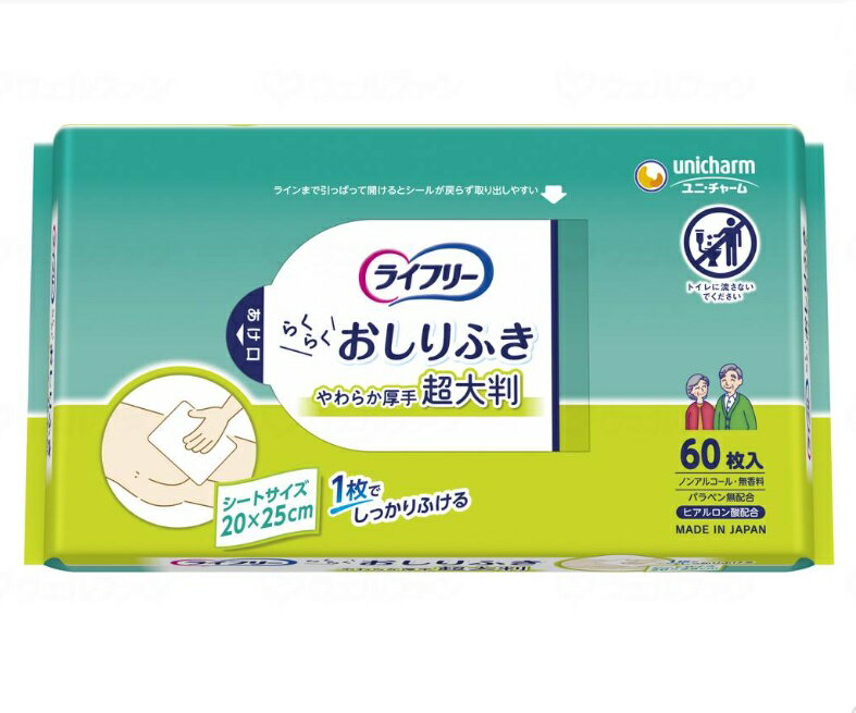 (ˡ㡼) 饤ե դĶȽå 6012ʥ 餫 Υ󥢥륳 ̵     ɺ ±  