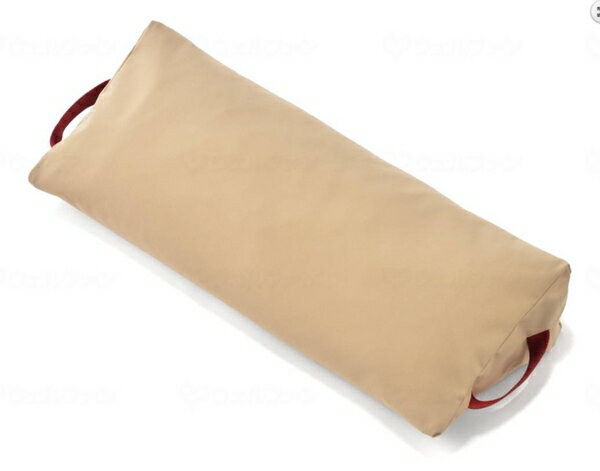 (イノアックリビング) サポティ Aタイプ中 体位変換 体位保持 体圧分散 クッション 床ずれ 褥瘡予防 介護 高齢者