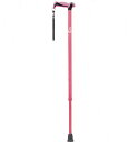 (竹虎) ヒューゴステッキ 伸縮 1点杖 パイプ径22mm 軽量 介護 高齢者 男性用 女性用 おしゃれ 種類 父の日 母の日 敬老の日