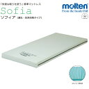 【送料無料】ソフトナースマイクロ厚さ6.0cm　イエローピンク-3145-073※メーカーからの直送の為宅配便限定でのお届け（代引・同梱不可）≪検索用≫【05P05Dec15】