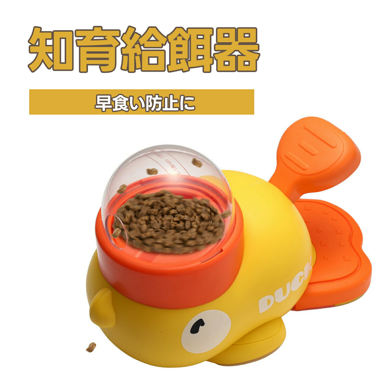 ǭ   ΰ´ ΰ鷱 ڥåΰ ¤굡 ¤ ץ쥼    Ѥ ´    IQ ʬͷ...