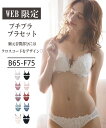 【northerly】WEB限定【プチプラブラセット】純欲カラーヌーディーレーシーストリングブラ&ショーツセット L字ワイヤー 谷間メイク 上下セット セクシー...