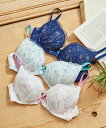 【SALE】【northerly】【northerly bra フィットシリーズ 楽ちんフィット】プリントラメ刺繍ブラショーツSet　B〜Fカップ