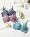 【northerly】 カシュクール脇高ブラジャー&ショーツセット B65~F75