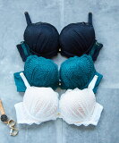 SALEۡnortherly northerly bra եåȥ꡼ ë֥ᥤ۴졼֥饸㡼硼ĥå BFå B65F75