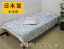 今治発日本製 タオルケット 300匁 綿100%シングルサイズ 140×190cm ナタリー JK34‐8515