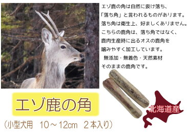 北海道産　エゾ鹿の角　小型犬用2本エゾ鹿角(シカつの） 犬 おやつ 無添加 ガムペットグッズ ドッグフード ガム 鹿の角