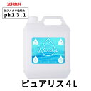 アルカリ電解水 4L 洗剤 掃除 床清掃 簡単 除菌 クリーナー ペット 匂い 油汚れ 換気扇 コンロ レンジ フローリング 壁紙 詰替え 大容量 業務用 家庭用 おすすめ 激落ち ピカピカ 人気 お得 ピュアリス アルカリpH13.1 送料無料 楽天最安値に挑戦!安全データシート付き