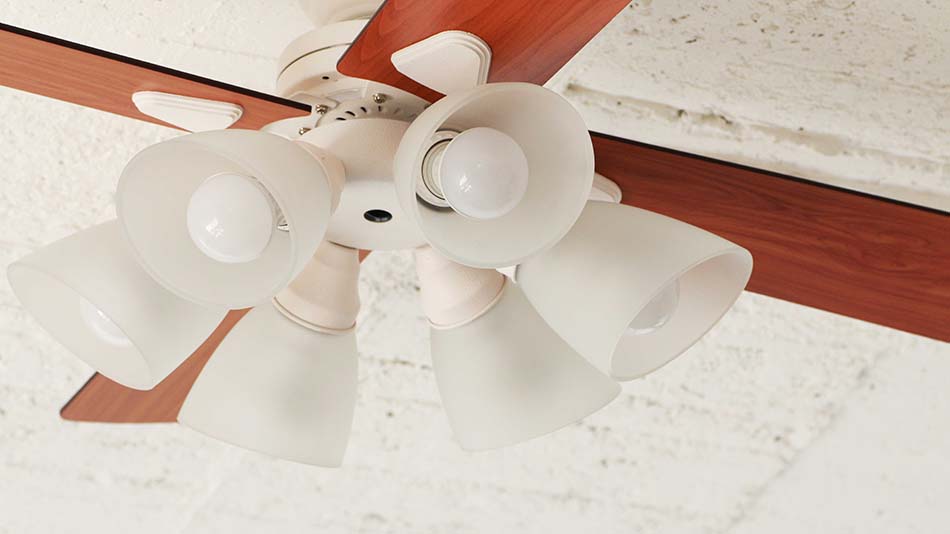 6灯ライト《plus more》プラスモアシーリングファン 6灯ライトWindouble 6L リモコン付き白熱電球・電球型蛍光ランプ対応デザイン照明 ホワイトBIG-102