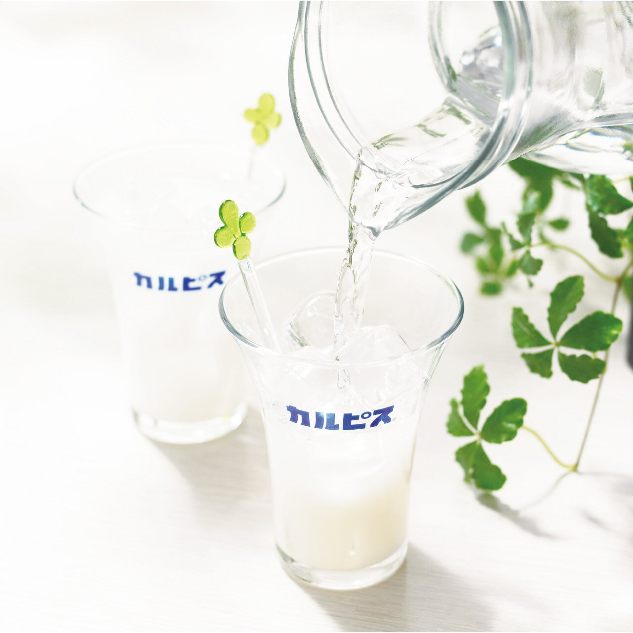 サン・ブレスのアサヒ飲料カルピスギフトセット 2本定番人気 乳酸菌飲料 詰め合わせ セット CN10P・7258-056｜アングル2