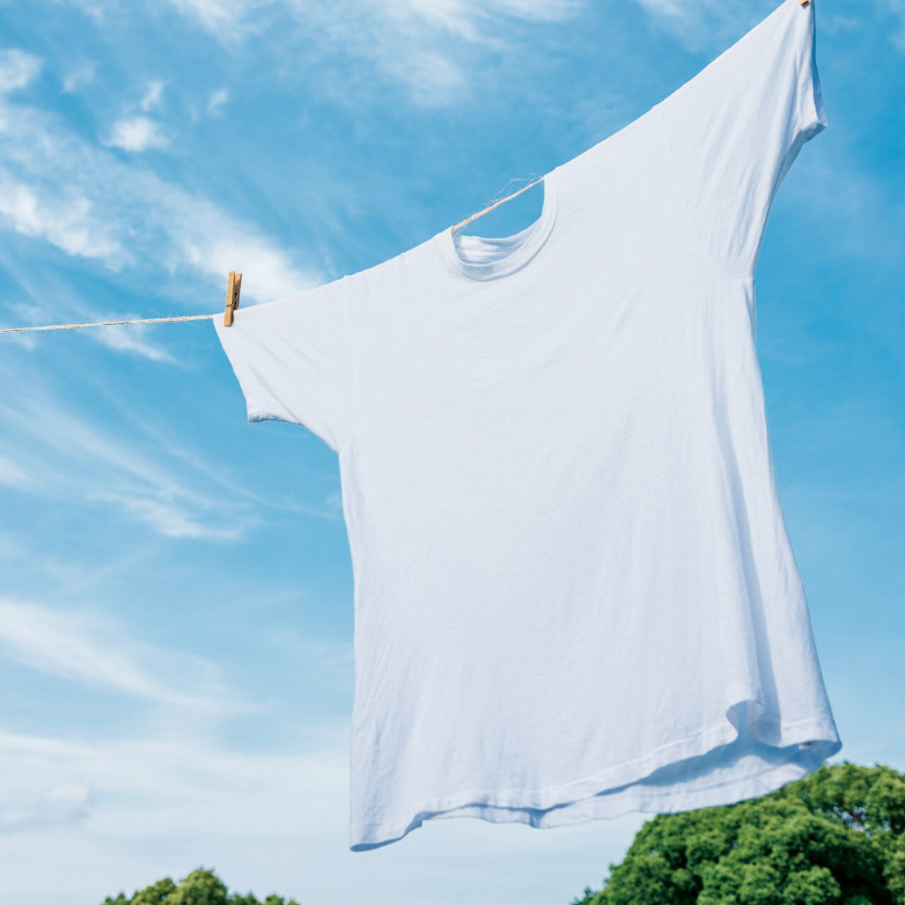 ���ꥨ����������ޥ��å� PGCG-15E��/��4281-024