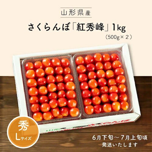 紅秀峰 　秀　Lサイズ 1kg　（500g×2）山形産 さくらんぼ2023　お中元　夏ギフトNo.5-1