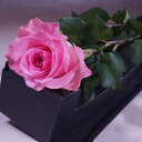 2020年4月ピンクバラ一本　価格　販売　　販売誕生日　記念日　プロポーズ　キャバ嬢プレゼント　可愛い　花束 通販　お礼　花びらをお風呂に お花 お祝い