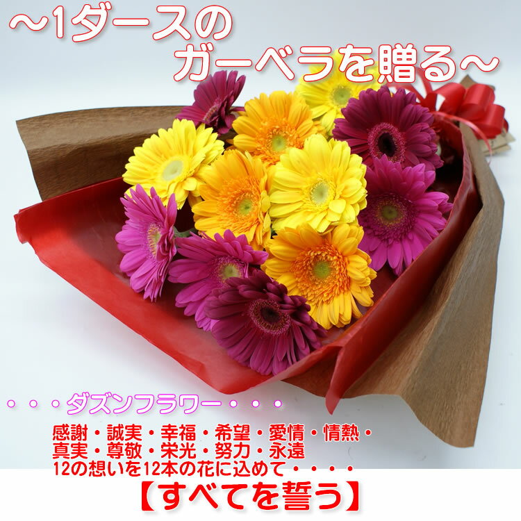 ガーベラ ガーベラのダズンフラワー　12本の花に思いを込めて　黄色ガーベラ　花束　ガーベラ　gerbera　花言葉　黄ガーベラ　「究極美」「究極愛」　イエローガーベラ