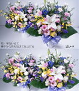 【お供え 花】御供の2Lアレンジメント2Lサイズお供えに贈る花　お悔やみ 法事 アレンジ 花 フラワー 御供 お盆 初盆 お彼岸 命日 弔花 仏花 ペット 法事 アレンジ 日付指定 立札 三周忌に贈るもの お盆にお供えするもの お寺への御供　花　枕花　仏花 【画像配信】