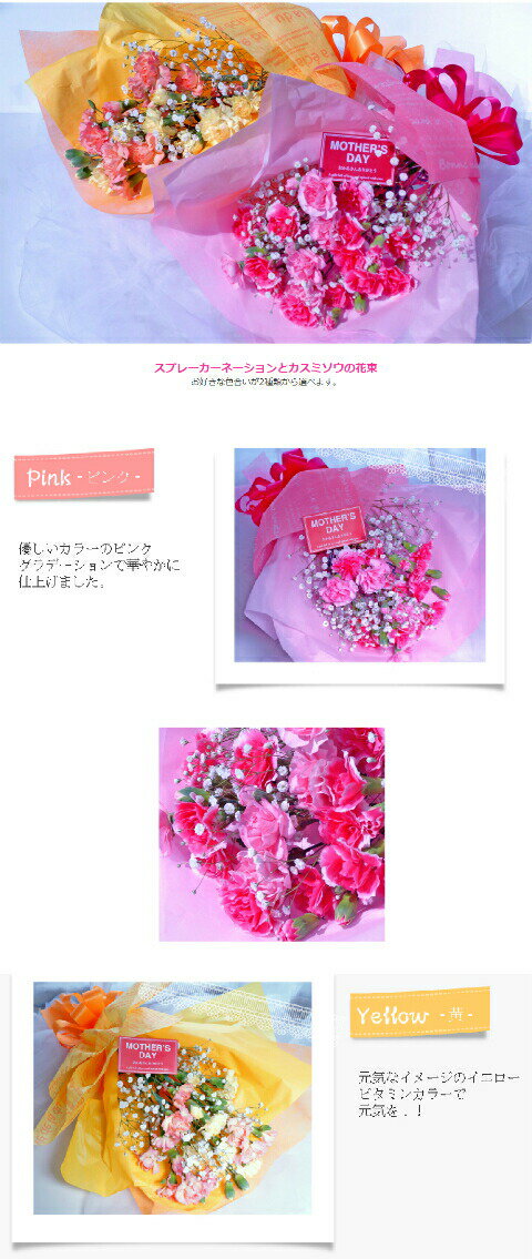 【 花束 スプレーカーネーション ブーケ】 マザーズデーブーケ 国産カーネーション フラワー カーネーション 花 ギフト フラワーギフト 花束 豪華 お花 母 女性 母の日ギフト ママ 祖母 お祝い 贈り物 生花 母の日 プレゼント ギフト　【 フラワーアレンジメント 花束 】