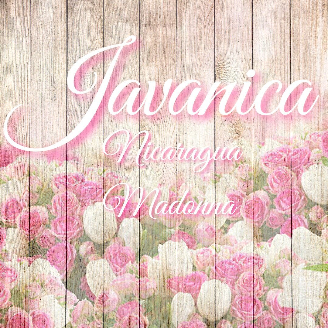 ニカラグア 「ジャバニカ・マドンナ」｜モンテクリスト農園｜ジャバニカ／アナエロビック(嫌気性発酵)ナチュラル｜ 焙煎豆 【浅煎り】