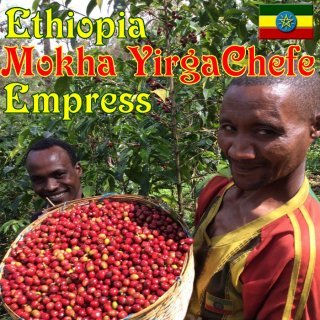 イルガチェフェG1　ウォッシュドコーヒー／コーヒー生豆／コーヒー豆／イルガチェフェ／モカイルガチェフェ／エチオピアイルガチェフェ／エチオピアコーヒー／スペシャルティコーヒー