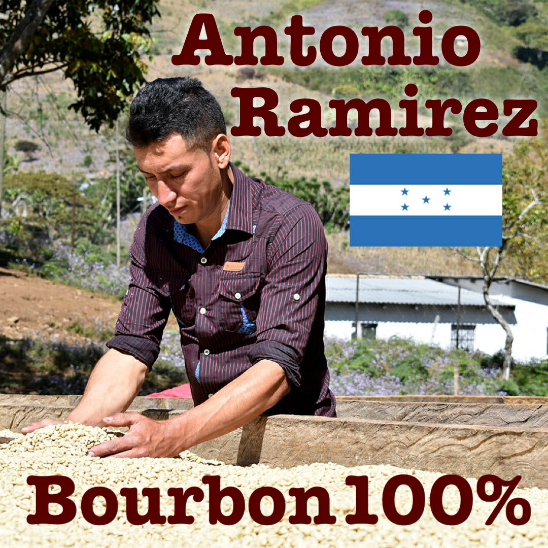 【ホンジュラス　Mr．T　200g】デセオ農園　ブルボン100％『浅煎り』【焙煎豆】アントニオ・ラミレス／コーヒー豆／コーヒー焙煎豆／焼きたてコーヒー／スペシャルティコーヒー／ホンジュラスコーヒー