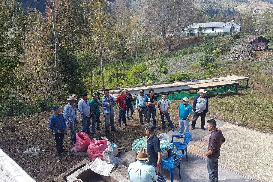 【ホンジュラス　バーボン人生　200g】デセオ農園　ブルボン100％『深煎り』【焙煎豆】コーヒー／コーヒー豆／コーヒー焙煎豆／焼きたてコーヒー／スペシャルティコーヒー／ホンジュラスコーヒー