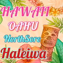 ハワイ|オアフ島ノースショア|ハレイワ(中煎り)【焙煎豆】