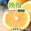 愛媛愛南町の晩柑 宇和島 柑橘類 完熟 こだわり ご家庭用 産地直送