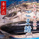 超希少 一本釣り船上絞めごま鯖 700g以上 3尾 魚貝類