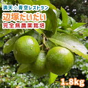 へつかダイダイ 2kg ビターオレンジ 送料無料 鹿児島県 南大隅町 辺塚地区 無農薬栽培 うどん 柑橘類 ドレッシング サワー 焼酎 蕎麦 そば フルーツ 辺塚ダイダイ 辺塚だいだい ヘツカダイダイ ポン酢 レモネード レモンハイ