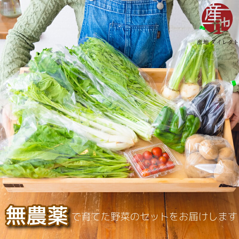 野菜の育て方にこだわり ひふみ農園は、2010年よりひふみ循環農法により無農薬・無化学肥料・無畜産系肥料で野菜やお米を栽培してきました。ひふみ循環農法の基本技術は、πシステム(酸化還元力を高める)による農業用資材を活用し、土壌を適度な栄養分と豊富な土壌菌のあるイヤシロ地化し、可能な限り自然のままに栽培するものです。 多少形の良くないものも出来ますが、100％無農薬・無化学肥料栽培ですので、市販の有機栽培のものよりも味に深みと甘みがあって美味しいと評価を頂いています。 πウォーターとは 「πウォーター」とは、人間や動物、植物の体中の生体水に限りなく近い水のことです。体内は酸化のない世界ですが、それは体内が「非イオンの世界」だということです。「錆（さ）びない水」で育てた無農薬野菜で、酸化してしまった体を回帰させましょう。 当ページに、人間や動物、植物の酸化してしまった体を元の酸化していない状態へ戻す「回帰」機能を持つ「πシステム」の実験結果を公開しています。 商品キーワード キーワード 季節の野菜 神奈川県 相模原市 πウォーター 還元力 抗酸化 無農薬 無化学肥料 有機 野菜 相模湖神奈川県相模原 無農薬、無化学肥料、無畜産系肥料の無農薬野菜詰め合わせ バイヤーから一言 ひふみ農園の無農薬野菜セットを見ていただいてありがとうございます。 ひふみ農園さんは、無農薬・無化学肥料・畜産系肥料不使用、さらにπウォーターを使用ととにかく手間暇をかけて大切に野菜を育てておられます。中央道のインターを出て山の中を車で走っていくとひふみ農園さんがあります。山奥にあるので、他の畑から農薬がまぎれてくる心配もないようです。嬉野の無農薬茶農家さんから「自分だけが無農薬にこだわっても回りが農薬を使っているとまぎれる可能性があるから離れたところで育てなければならない」と聞いたのを思い出しました。いろんな野菜を育てておられて「お送りさせていただく野菜はその季節のその時期に収穫できたものにさせていただいております」とのことです。何が送られてくるか楽しみにしていてください。野菜のパワーを最大限に取り入れたい、安心して美味しい野菜を口にしたいと思っておられる方にはオススメです。近くに相模湖があって、日々の骨休めにフラッとひふみ農園さんを探しに行くのも楽しいかもしれませんね。 商品詳細 名称 季節の野菜セット 配送 常温配送 サイズ サイズは80サイズの段ボール箱 2kg前後 野菜の種類 水菜、ほうれん草、チンゲン菜、サニーレタス、キャベツ、大根、小カブ、玉ねぎ、ピーマン、ズッキーニ（ズッキーニ、ステラ、パッローネ）、じゃがいも（きたあかり、アンデスレッド、シャドークイーン）、オクラ、ミニトマト、ししとう、トウモロコシ 上記野菜の中から8～10品目 ※季節や収穫状況により野菜の種類は変わることがありますのでご了承ください。 原産地 神奈川県相模原市 関連商品 神奈川県 鹿神奈川県の名産品を取り揃えています。 野菜の育て方にこだわり ひふみ農園は、2010年よりひふみ循環農法により無農薬・無化学肥料・無畜産系肥料で野菜やお米を栽培してきました。ひふみ循環農法の基本技術は、πシステム(酸化還元力を高める)による農業用資材を活用し、土壌を適度な栄養分と豊富な土壌菌のあるイヤシロ地化し、可能な限り自然のままに栽培するものです。 多少形の良くないものも出来ますが、100％無農薬・無化学肥料栽培ですので、市販の有機栽培のものよりも味に深みと甘みがあって美味しいと評価を頂いています。 πウォーターとは 「πウォーター」とは、人間や動物、植物の体中の生体水に限りなく近い水のことです。体内は酸化のない世界ですが、それは体内が「非イオンの世界」だということです。「錆（さ）びない水」で育てた無農薬野菜で、酸化してしまった体を回帰させましょう。 当ページに、人間や動物、植物の酸化してしまった体を元の酸化していない状態へ戻す「回帰」機能を持つ「πシステム」の実験結果を公開しています。 商品キーワード キーワード 季節の野菜 神奈川県 相模原市 πウォーター 還元力 抗酸化 無農薬 無化学肥料 有機 野菜 相模湖