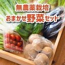 【送料無料】農薬を使わずに育てた「季節の野菜おまかせ詰め合わせ」