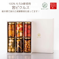 【送料無料・無添加ピクルス】宮ぴくるす160g×6個　ギフトセット ｜ピクルス 無添...