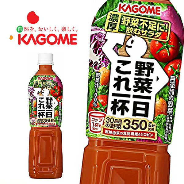 【※東北地方・北海道・沖縄県配送不可】【送料無料】【2ケース】カゴメ 野菜一日これ一杯 720mlPET×15本入 2ケース