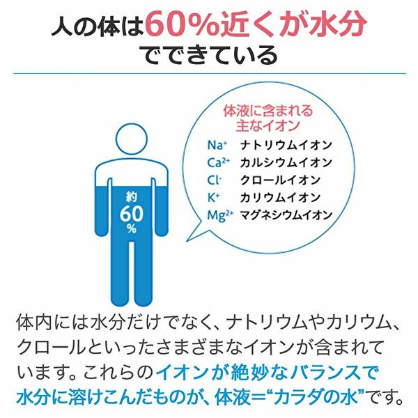 【※東北地方・北海道・沖縄県配送不可】【送料無...の紹介画像2