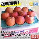 糖度はなんと13度以上!衝撃の味!しかも送料無料!青森JAつがる弘前 糖度13度「葉とらずサンふじりんご」3kg(9玉〜13玉) 産地直送品