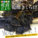 島根県より産地直送 奥出雲キノコ 乾燥キクラゲ 50g×3袋...