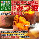 鹿児島県より産地直送 種子島安納紅「みつ姫」 約1.8キロ さつまいも 唐芋 からいも カライモ