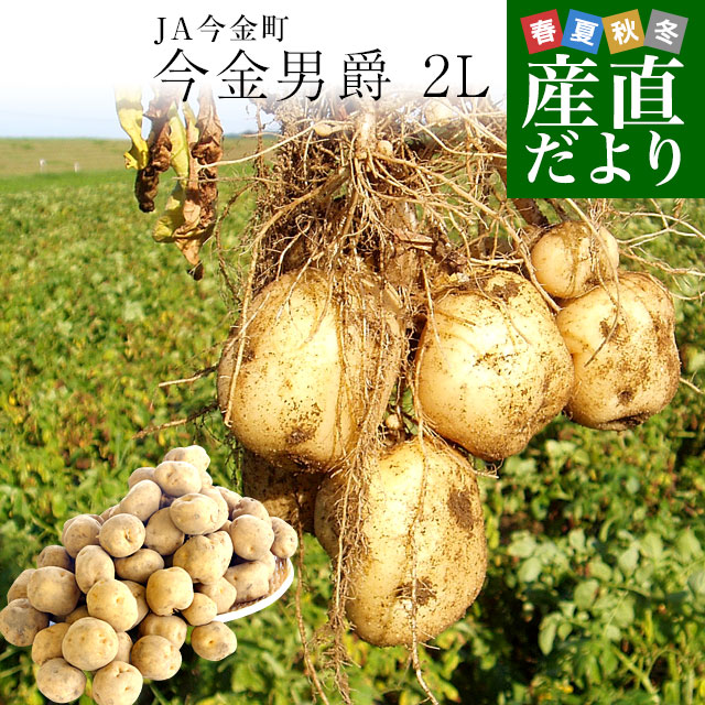 北海道産 JA今金町 じゃがいも 今金男爵 2Lサイズ 約10キロ(45玉前後入り)　送料無料 馬鈴薯 ジャガイモ 芋 男爵芋　市場発送のサムネイル